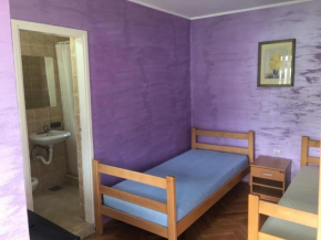 Banja Gornja Trepca-smestaj Grof
